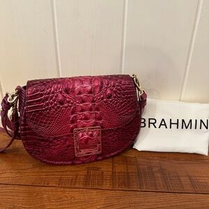 Brahmin Cynthia in Pomegranate